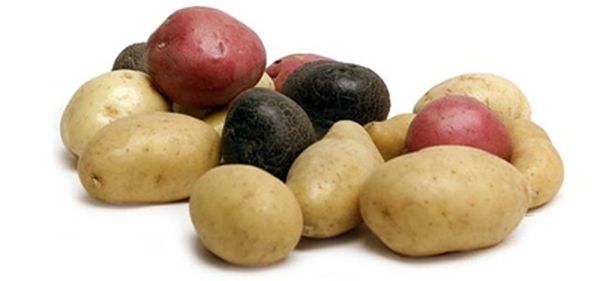 new potato